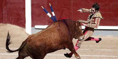 Rache des Stiers: Einäugiger Torero auf die Hörner genommen