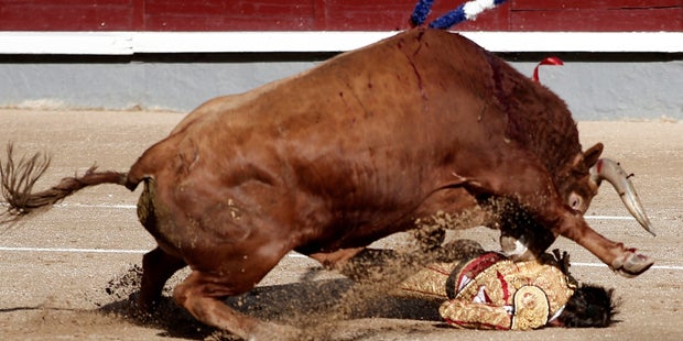 Rache des Stiers: Einäugiger Torero auf die Hörner genommen