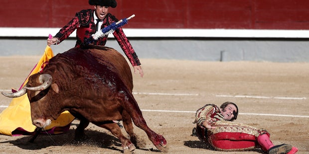 Rache des Stiers: Einäugiger Torero auf die Hörner genommen