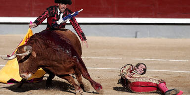 Rache des Stiers: Einäugiger Torero auf die Hörner genommen