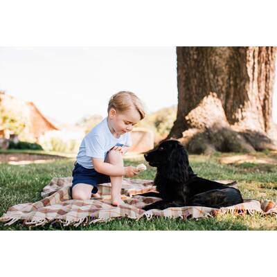 Prinz George: Süße Bilder zum 3. Geburtstag