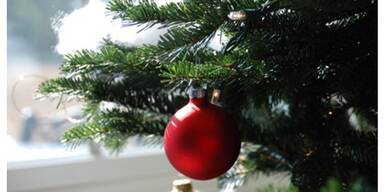 201610100922_66_81586_20161010_66_81586_161010_LS_kindergarten_sagt_weihnachtsfeier_ab_000.jpg