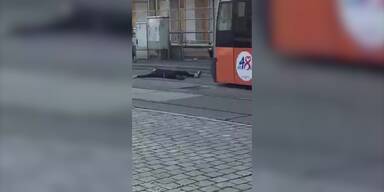 201610161511_66_82251_20161016_66_82251_161016_NE_Mann_wirft_sich_vor_Strassenbahn_000.jpg