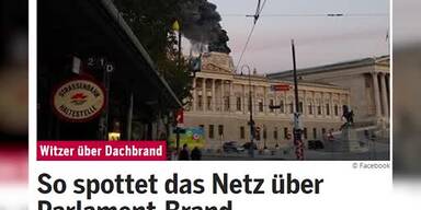 20161105_66_84129_161104_FB_040_Netz_spottet_ueber_den_Parlaments_Brand.jpg