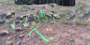 20161117_66_85427_161117_MI_Verhaftung_nach_leichenfund_im_Waldviertel.jpg