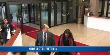 20161214_66_89415_161214_MO_019_Kurz_alles_neu_EU-Veto.jpg