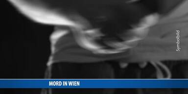 20161215_66_89764_161215_MI_Bluttat_in_Wien_Mann_ersticht_Frau_Mord_NEU.jpg