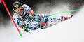 Hirscher
