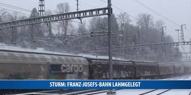 20170104_66_93011_170104_MI_Sturm_franz_josef_bahn_lahm.jpg