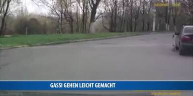 20170104_66_93112_170104_NE_111_Hunde_Spaziergang.jpg