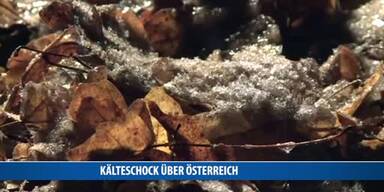20170112_66_95426_170113_MO_024_Schneewalze_CP.jpg