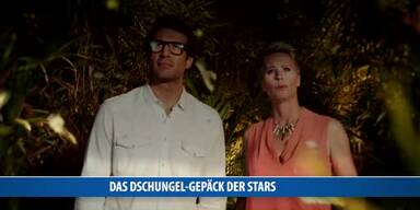 20170112_66_95428_170113_MO_088_Das_Dschungel_Gepaeck_der_Stars.jpg