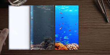 20170117_66_96053_samsung1_online.jpg