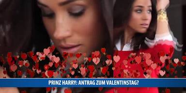 20170118_66_96308_170118_MO_086_Prinz_Harry_Antrag_CP.jpg