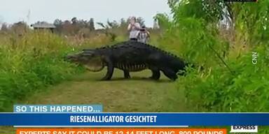 20170118_66_96327_170118_FB_Riesenalligator_stt.jpg