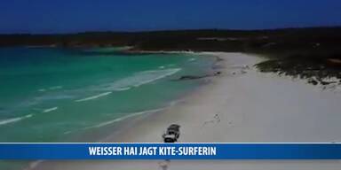 20170119_66_96544_170119_FB_Weisser_Hai_verfolgt_Kite_Surferin.jpg