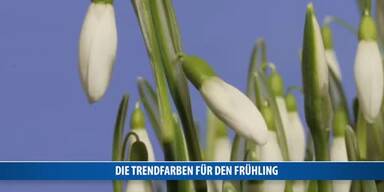 20170130_66_98528_170128_MI_080_Knallerfarben_CUTTI.jpg