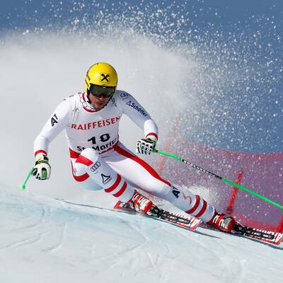 Die Jubelbilder von Max Franz