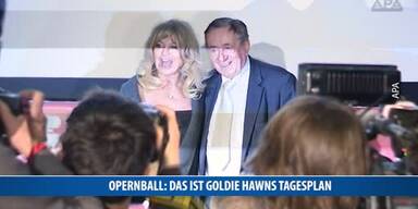 20170223_66_103655_170223_MI_Opernball_Goldie_Hawn_stt.jpg