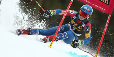 Shiffrin