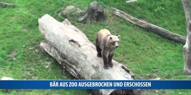 20170312_66_107105_170312_MI_028_Baer_Osnabrueck_zoo.jpg