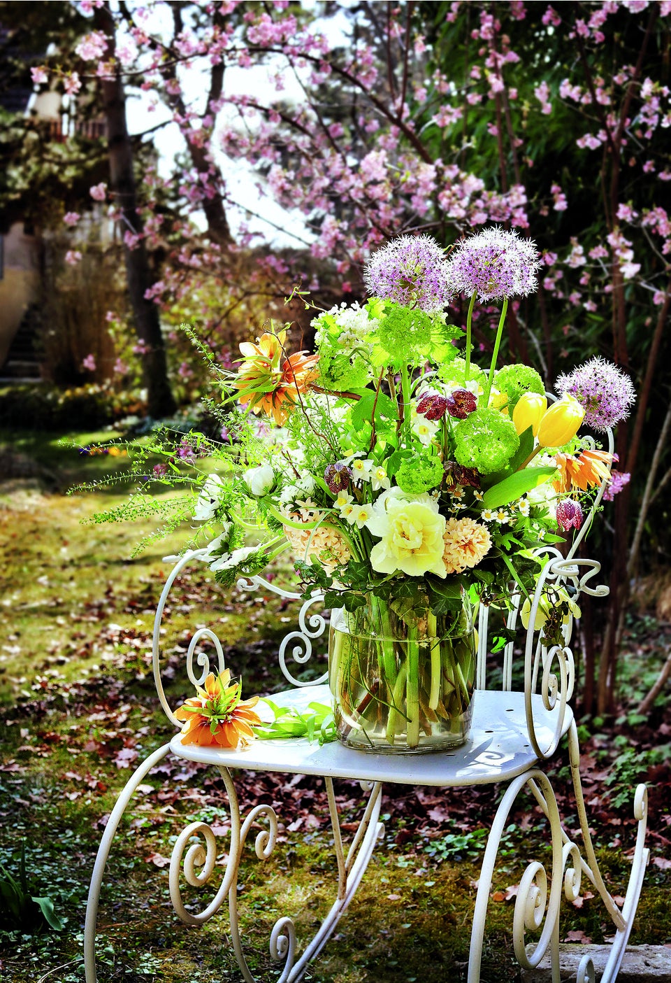 Oster-Erwachen im Garten
