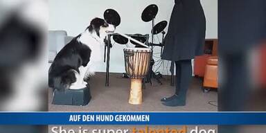 20170327_66_111152_170327_FB_Hund.jpg