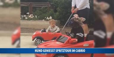 20170330_66_111919_170330_FB_Hund_geniesst_Spritztour_im_Cabrio.jpg