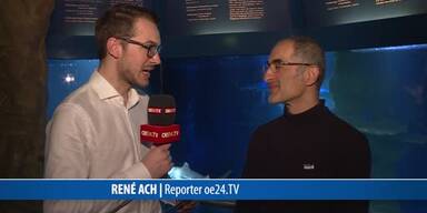 20170414_66_115147_170414_HA_Interview_Meeresbiologe_Tigerhaie.jpg