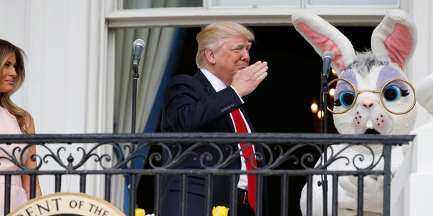 Die Trumps sind auf den Hasen gekommen