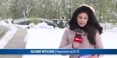 20170420_66_116091_170420_Juliane_SCHNEECHAOS_Aufsager.jpg
