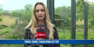 20170427_66_117495_170427_MO_016_Aufsager_bianca_Todesserie_schoenbrunn_mit_Schnittbildern.jpg