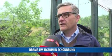 20170427_66_117498_170427_MO_018_Interview-Veterinaer-Tieger_Danner.jpg
