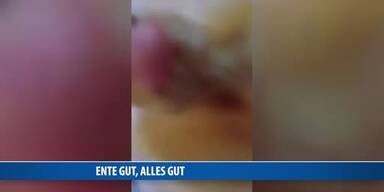 20170428_66_117873_170428_FB_Ente.jpg