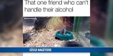 20170428_66_117876_170428_FB_Nagetiere.jpg