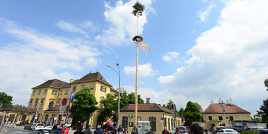 Maibaum