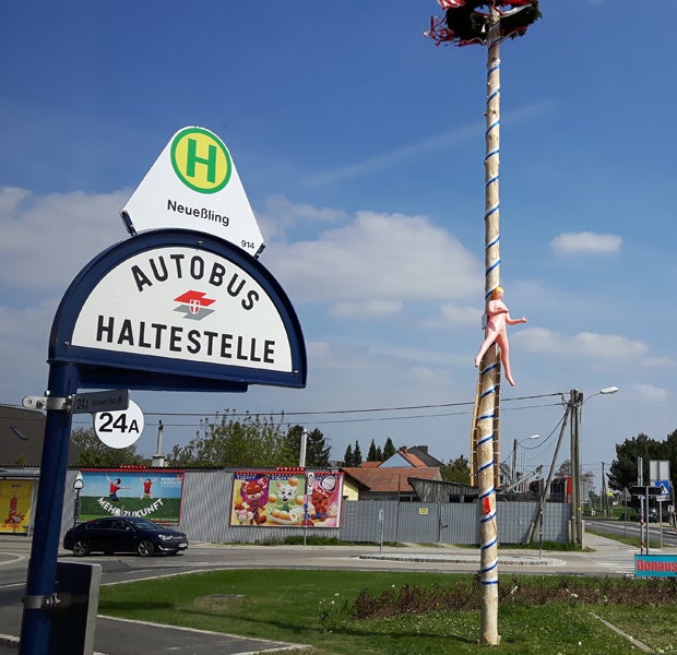 Maibaum Neuessling