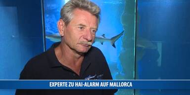 20170626_66_130164_170626_HA_009_Haiexperte_zu_Haialarm_Mallorca_ITV.jpg