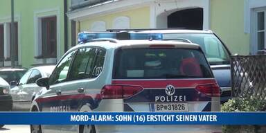 20170804_66_138413_170804_HA_007_Mord_Alarm_Ebergassing.jpg