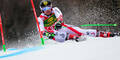 Hirscher