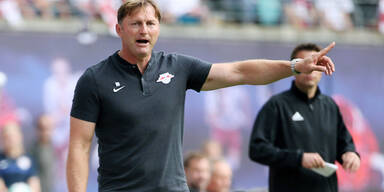 Hasenh&uuml;ttl