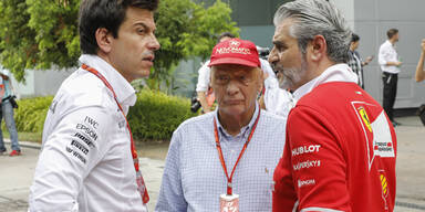 Lauda