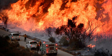 Waldbrand Kalifornien Los Angeles L.A.