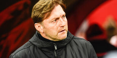 Hasenhüttl