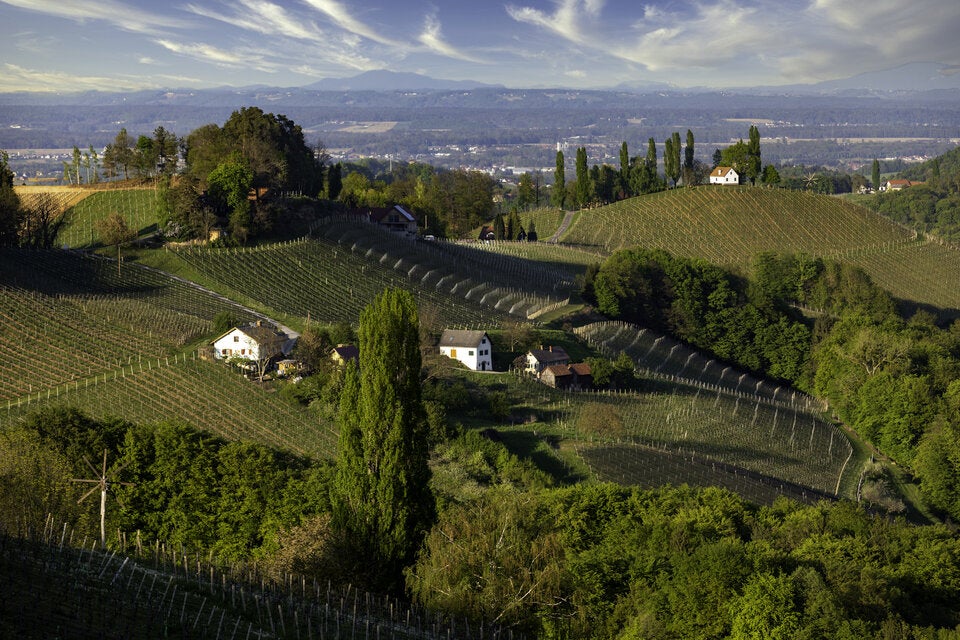 Südsteiermark im Frühling entdecken