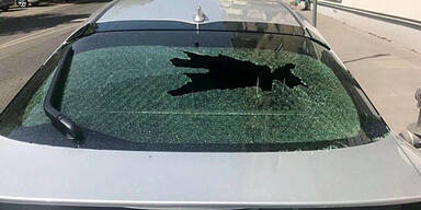 Uber besch&auml;digt