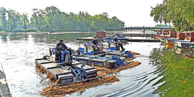 Alte Donau knackt bald die 30-Grad-Marke