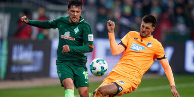 Junuzovic Grillitsch