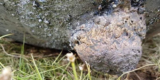 Rätsel um mysteriöse Kugeln gelöst