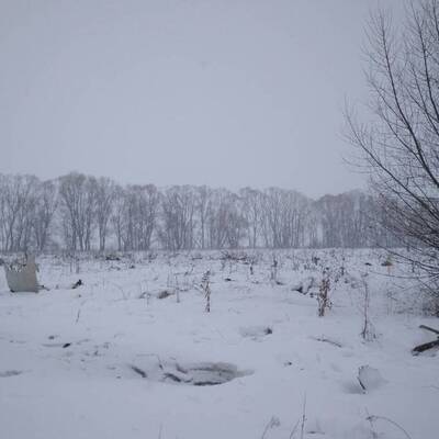 Russisches Flugzeug abgestürzt